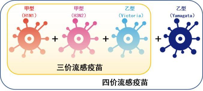 兒科就診量激增 6問(wèn)兒童呼吸道感染