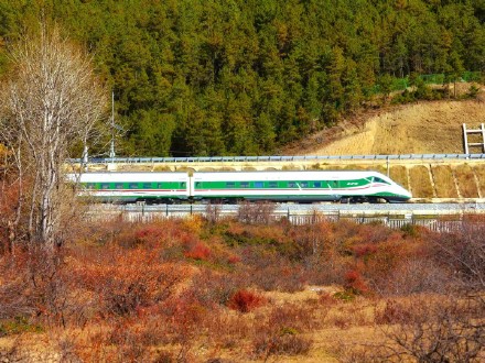 麗香鐵路即將通車 試試坐火車去香格里拉！