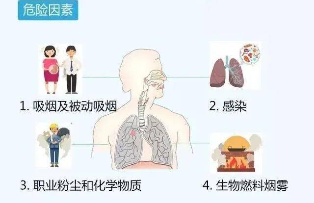 連撞11車特斯拉車主：當(dāng)天剛上牌