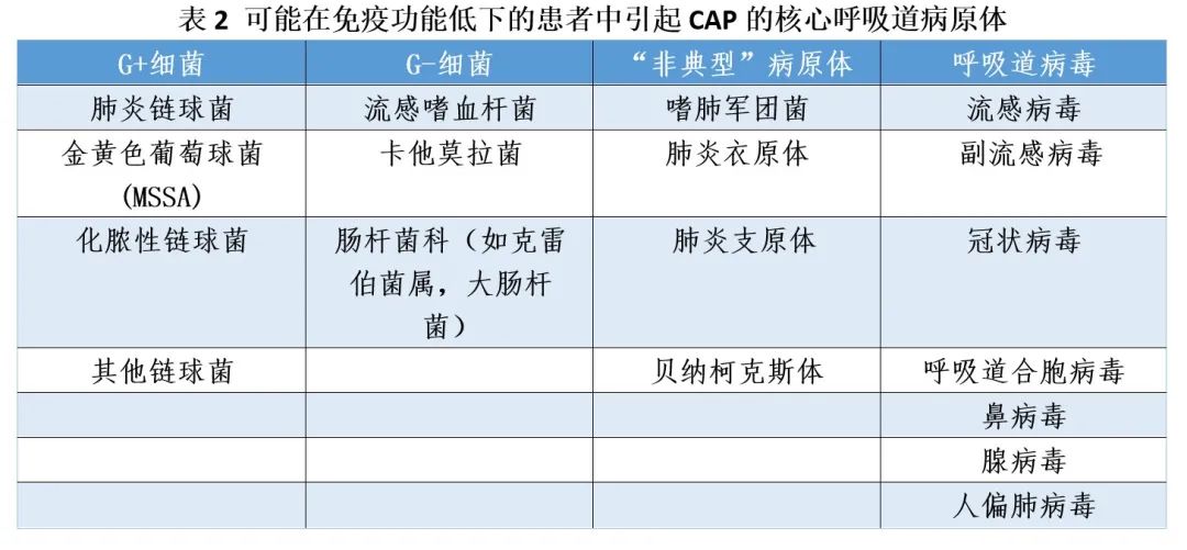 連撞11車特斯拉車主：當(dāng)天剛上牌