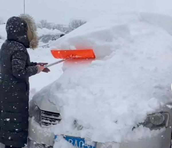 不是東北！山東這倆城市為啥要“雪中刨車”？