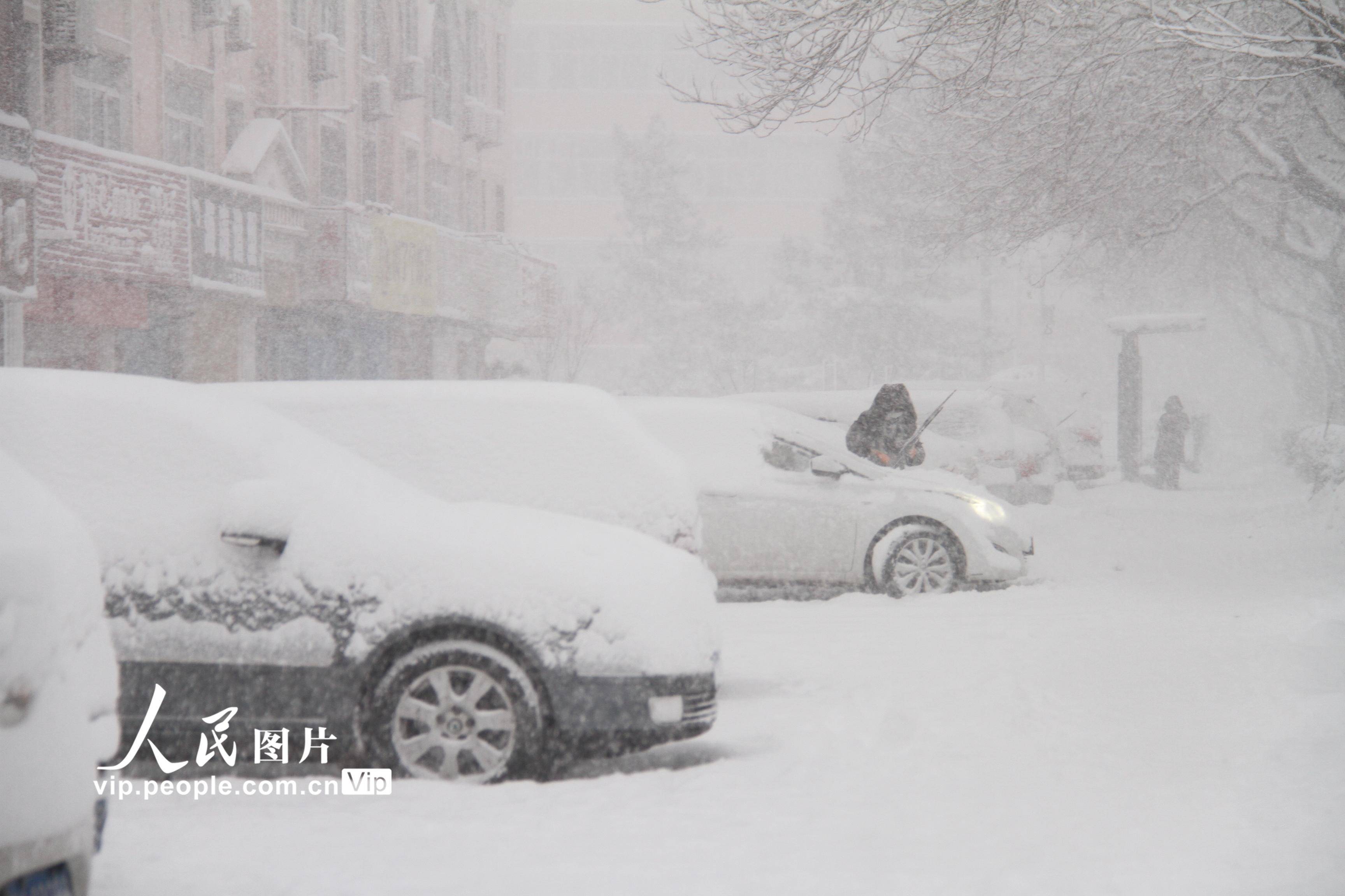 東北是捅了雪窩了