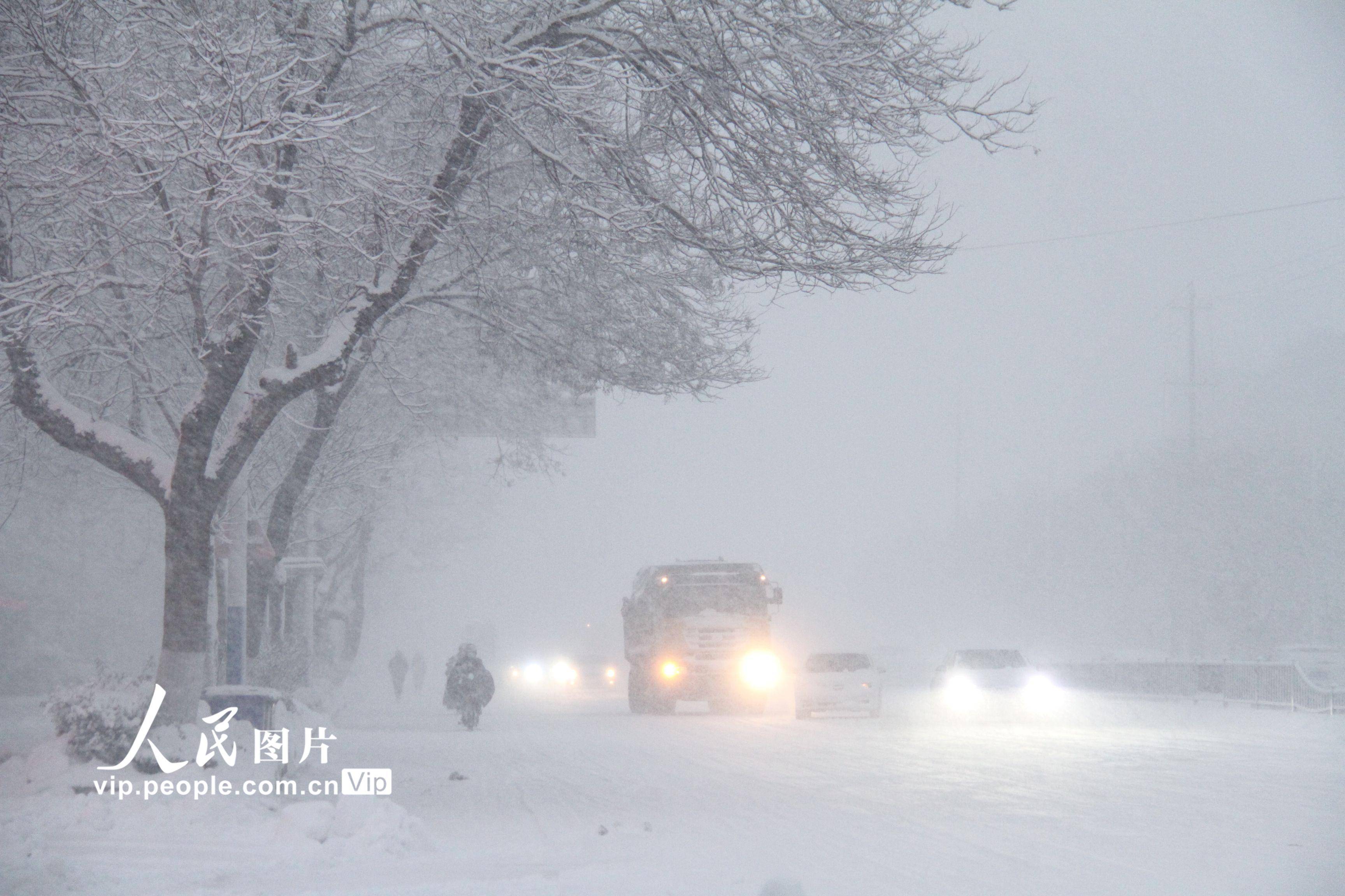 東北是捅了雪窩了