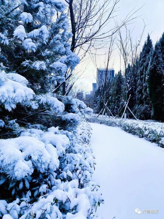 東北是捅了雪窩了