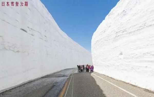 不是東北！山東這倆城市為啥要“雪中刨車”？