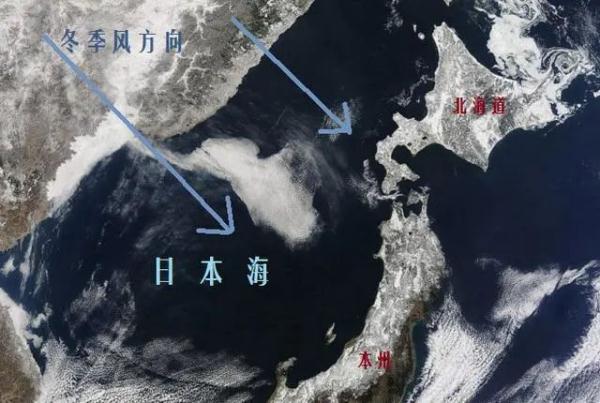 不是東北！山東這倆城市為啥要“雪中刨車”？